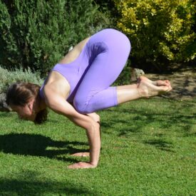 asana3 - Cópia
